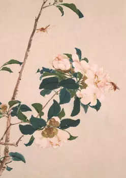 Тетрадь Насекомые и цветы "Пчёлки"