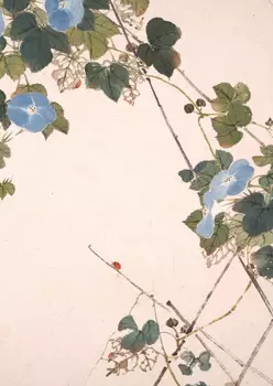 Тетрадь Насекомые и цветы "Вьюнок"