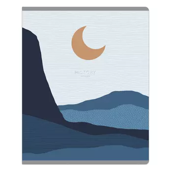 Тетрадь предметная Greenwich Line "Skyline" - История, 48 л 70 г "софт-тач" ламинация, тиснение фоль