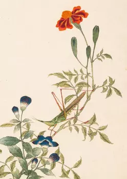 Тетрадь Птицы, насекомые и цветы "Кузнечик"