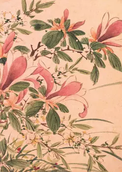 Тетрадь Садовые цветы "Барбарис"