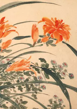 Тетрадь Садовые цветы "Лилейник"