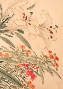 Тетрадь Садовые цветы "Лилия"