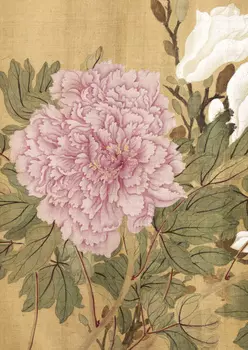 Тетрадь Сто цветов фрагмент "Розовый пион"