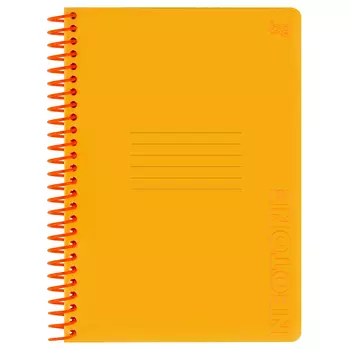 Тетрадь в клетку на пластиковом гребне, BG "Neon. Orange" А5 96 л, пластиковая обложка