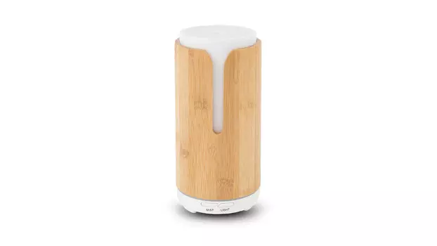Bamboo Dream
