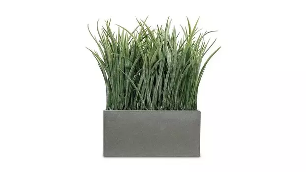 Бонсай Grass 28 см