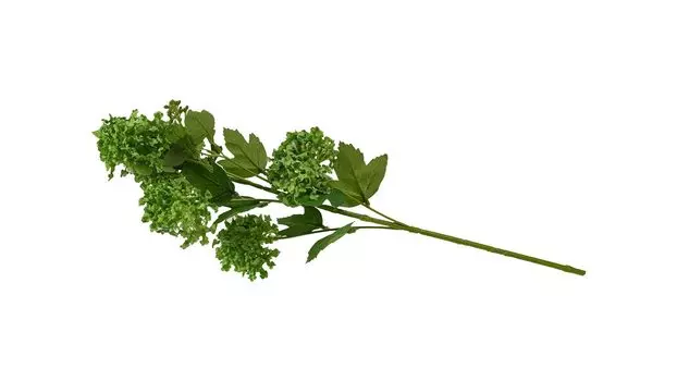 Цветок искусственный Снежный ком 78 см цвет зеленый