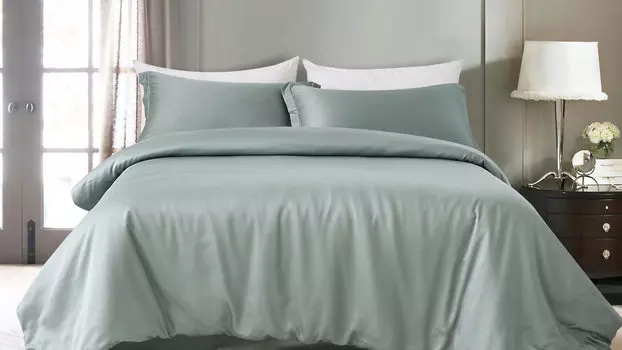 Комплект постельного белья Solid Tencel, цвет Серебристый иней