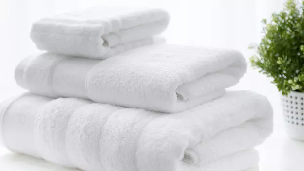 Набор полотенец 3 шт. Soft Silver Альпийский снег