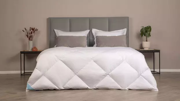 Одеяло Silver Goose