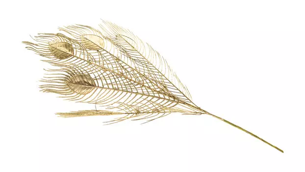 Перо декоративное Павлин 82 золото