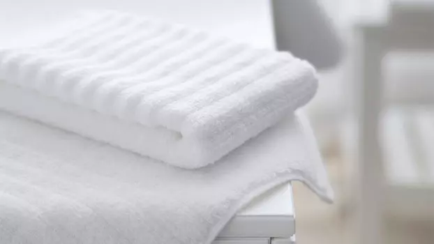 Полотенце Soft Silver Альпийский снег