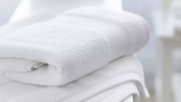 Полотенце Soft Silver Альпийский снег