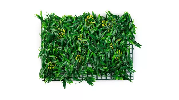 Стена зеленая Peach