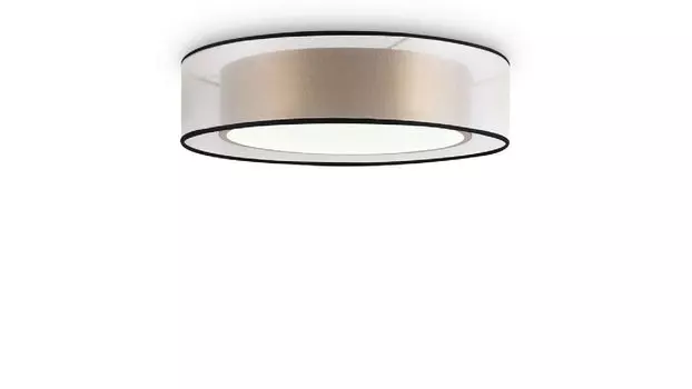 Светильник потолочный Zoticus FR6005CL-L36G