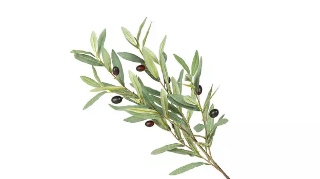 Ветка искусственная Олива nova