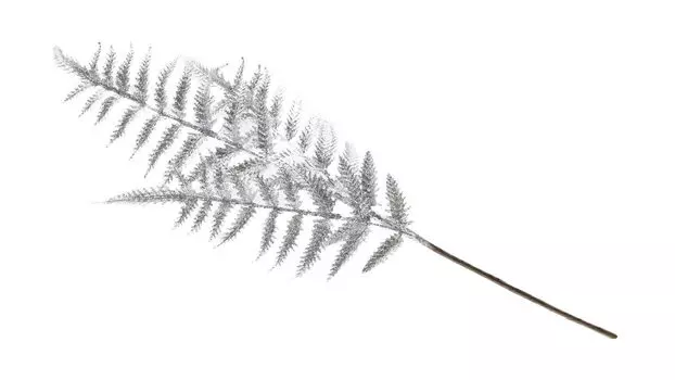 Ветка искусственная Папоротник new 80 серебро