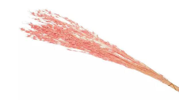 Ветка искусственная Темеда Triandra