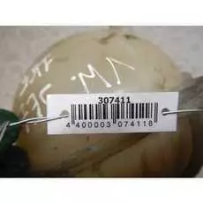 Бачок расширительный Volkswagen Jetta (1K5)