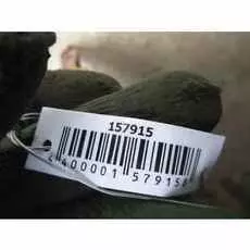 Бампер передний Citroen Xsara