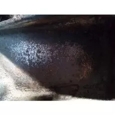 Двигатель (ДВС) Renault Laguna 2