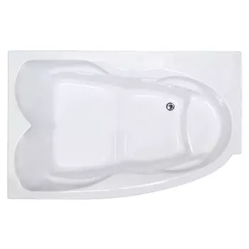Акриловая ванна Royal Bath Shakespeare 170х110 RB652100K-L на каркасе