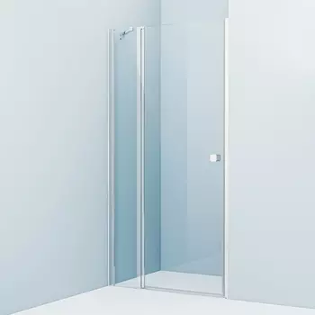 Душевая дверь Iddis Ray 195х100 RAY6CP0i69