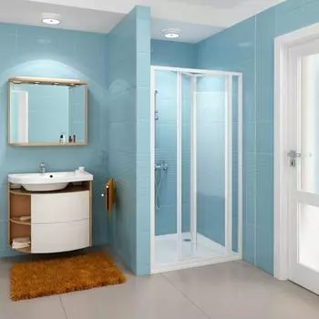 Душевая дверь Ravak SDZ3 100 белая + Грапе