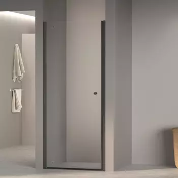 Душевая дверь RGW Dolphin 195х70 TN-03B