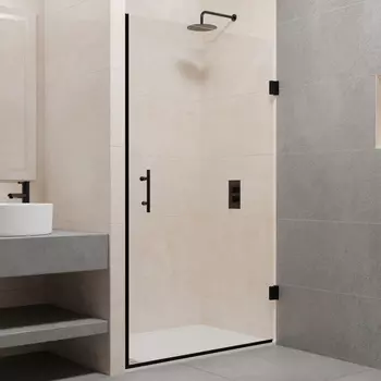 Душевая дверь RGW PA-06 B 60х195 41080606-54 стекло прозрачное