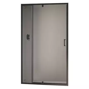 Душевая дверь RGW Passage PA-008-B 80х195 350800889-14