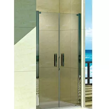 Душевая дверь WeltWasser WW600 185х100 600K2-100