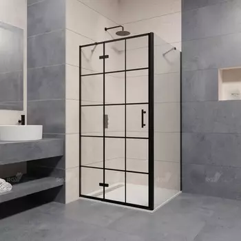Душевой уголок RGW Passage 100х80 41087708-084L