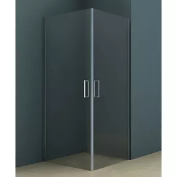 Душевой уголок Riho Novik Z209 80x100 без поддона