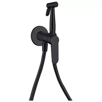 Гигиенический душ Aquanet Passion 243316 матовый