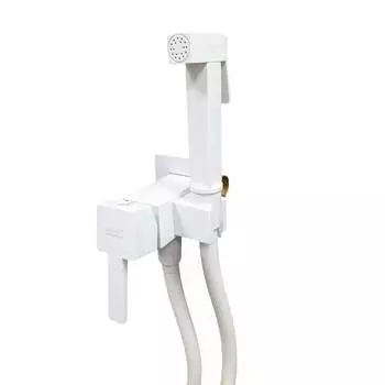 Гигиенический душ Webert Pegaso PE870303740