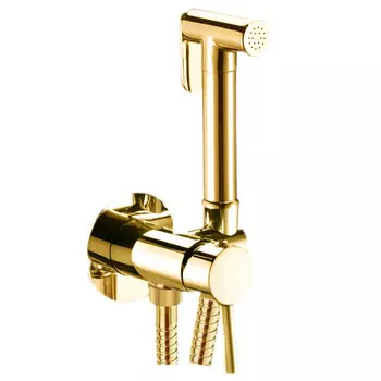 Гигиенический душ Webert Sax Evolution SE870303010