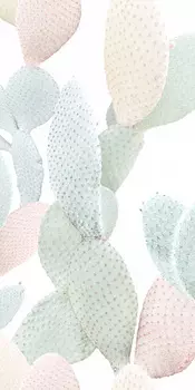 Керамогранит 41zero42 Paper41 Pro Marcela 50x100