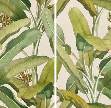 Керамогранит 41zero42 Paper41 Pro Musa 50x100