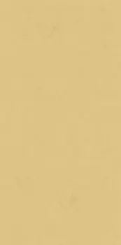 Керамогранит ABK Wide&Style Ginger Ret 60X120