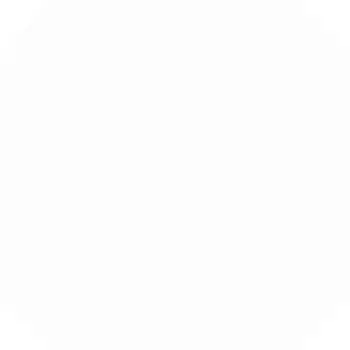 Керамогранит Absolut Keramika Element Octo Blanco 25x25