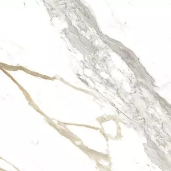 Керамогранит Absolut Keramika Medici Gold Natural Rect 80x80