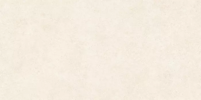 Керамогранит Alma Ceramica Amsterdam GFA114ADM04CR Сатинированный 57x114