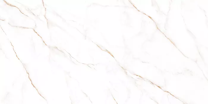 Керамогранит Alma Ceramica Neo Calacatta GFU60120NCL04R 60x120