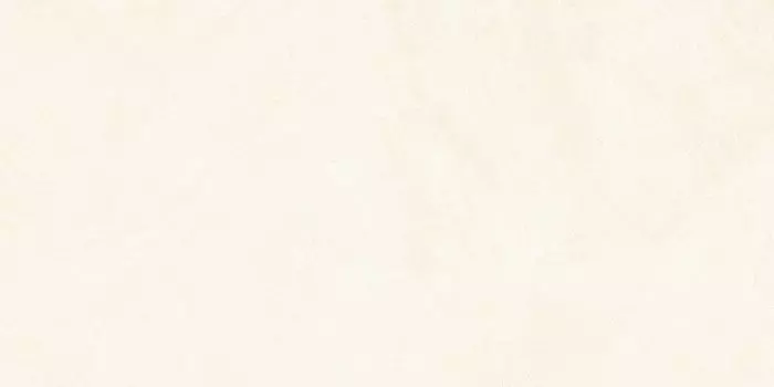 Керамогранит Alma Ceramica Stockholm GFA114STM04R Сатинированный 57x114