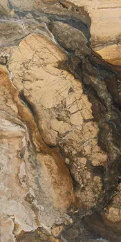 Керамогранит APE Rex Brown Polished Rect 60x120