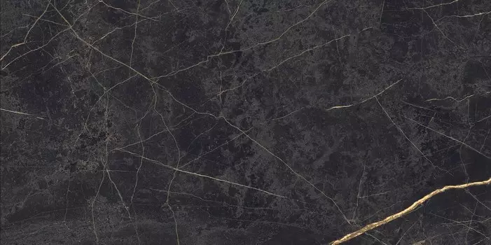 Керамогранит Ariana Ceramica Epoque Black Lap 60x120