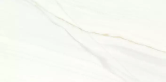 Керамогранит Ariostea Marmi Classici Bianco Covelano Soft 60x120