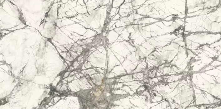 Керамогранит Ariostea Ultra Marmi Imperial Grey Soft 150x75